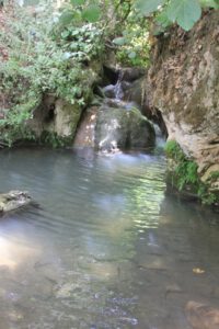 זרימה בנחל עמוד