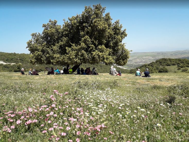 עצירת מנוחה בעין זבד