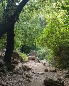 9 12 2019 5 58 04 AM 243x300 1