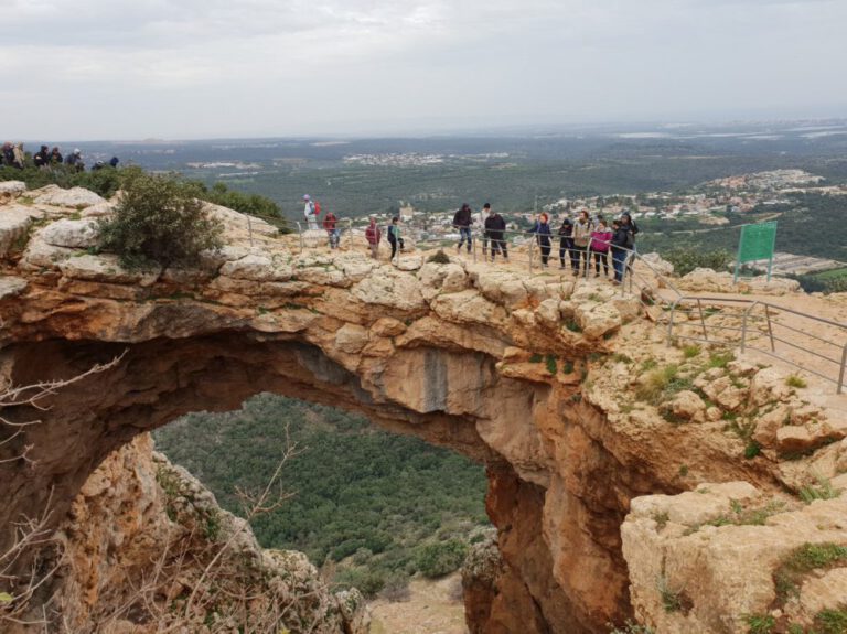 מטילים עומדים על הקשת במערת קשת כשנוף הגליל פרוס מאחוריהם