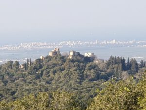 תמונת תקריב של מצודת יחיעם מגבעת העץ