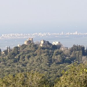 תמונת תקריב של מצודת יחיעם מגבעת העץ