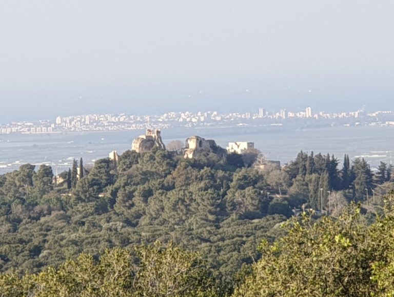 תמונת תקריב של מצודת יחיעם מגבעת העץ