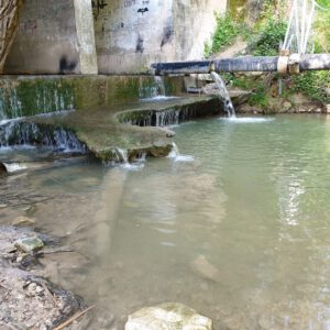 WhatsApp Image 2021 08 04 at 18.51.21