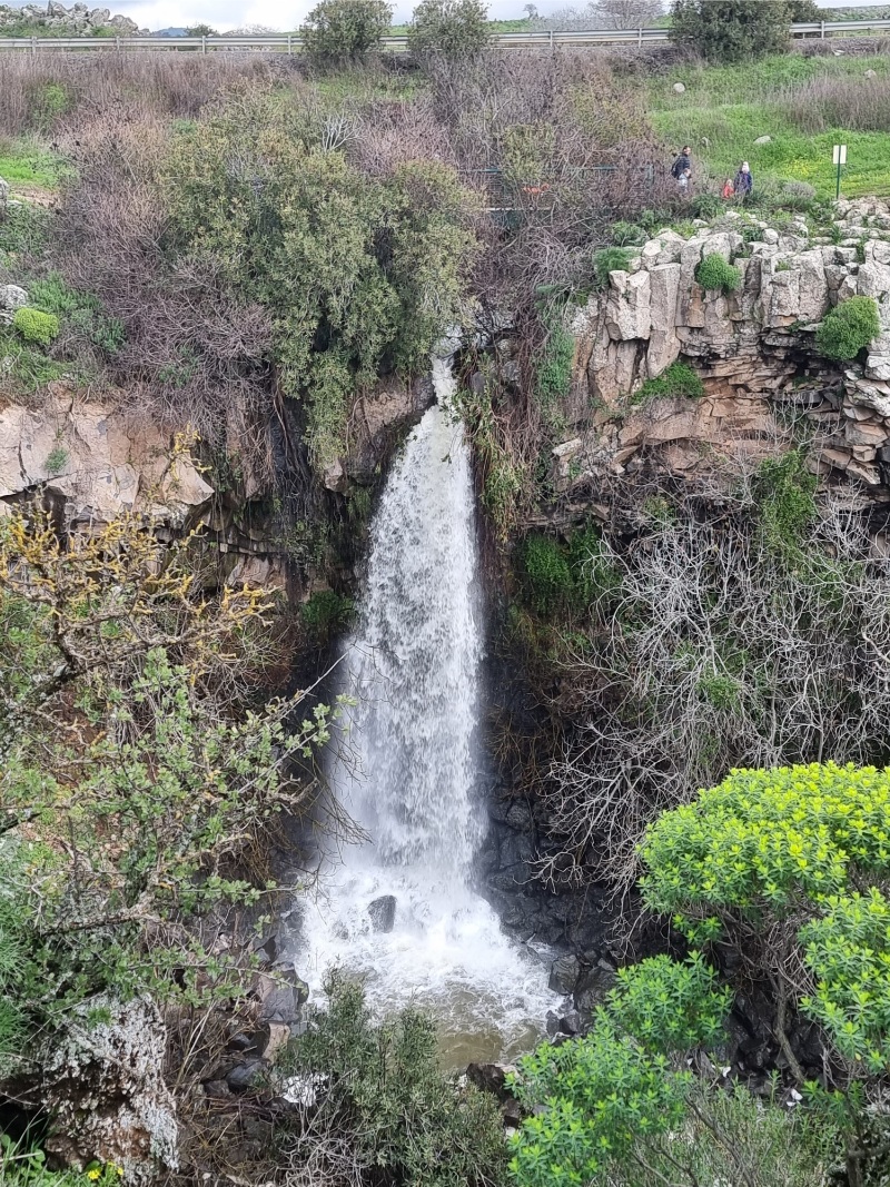מפל עיט