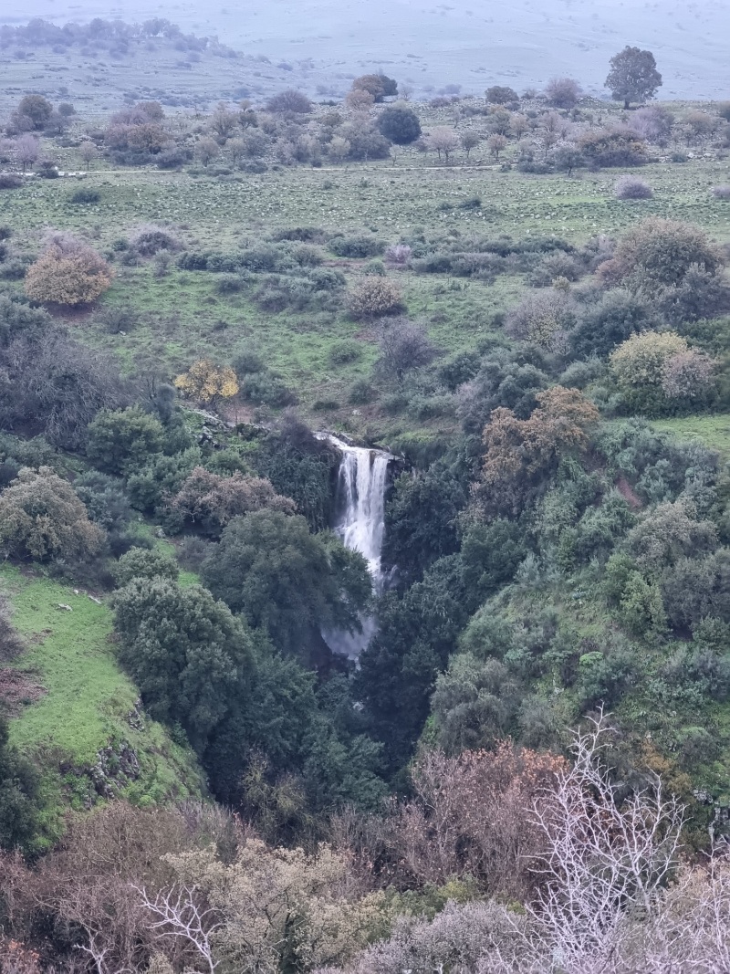 מפל פרע