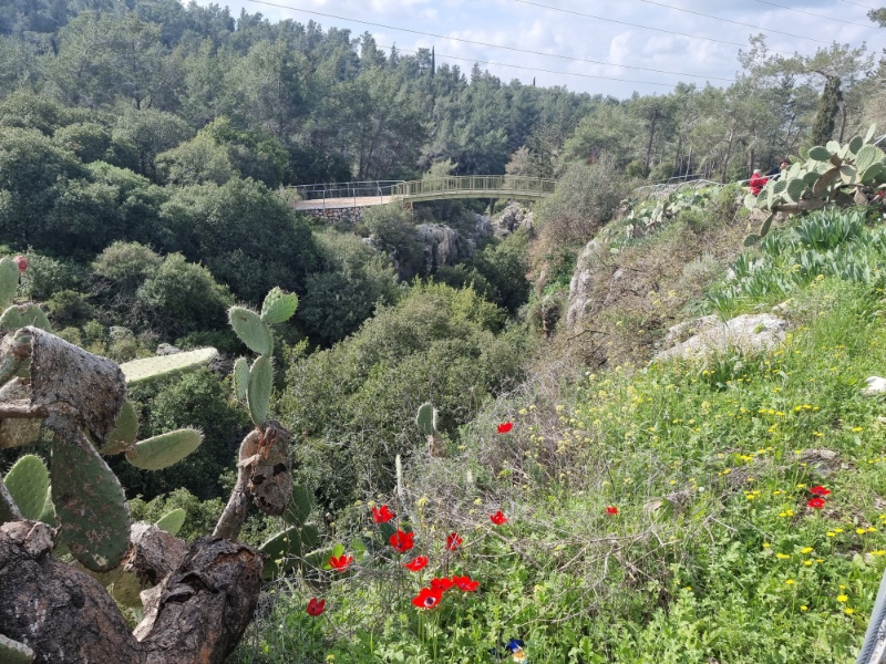 קניון נחל שגור הר גמל